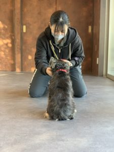 しつけ体験教室