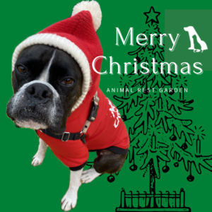 年末年始のお知らせ