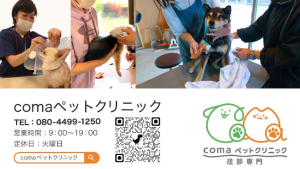 往診サービスを開始致しました。