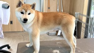 8月ご予約スタート🍉