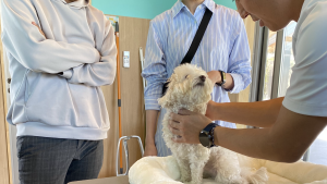 第二回メディセルDOG整体開催のお知らせ🌟