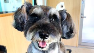 10月ご予約スタート🍁