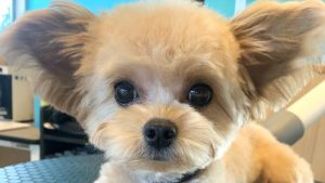 １２月ご予約スタート🎄