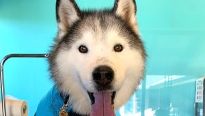 2025年１月ご予約スタート🎍