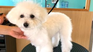 ２月ご予約スタート⛄