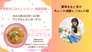 わんこの健康とごはんの話🍙