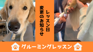 グルーミングレッスン日変更のお知らせ